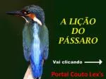 Explore the Features of Portal Couto Lex - slide 1