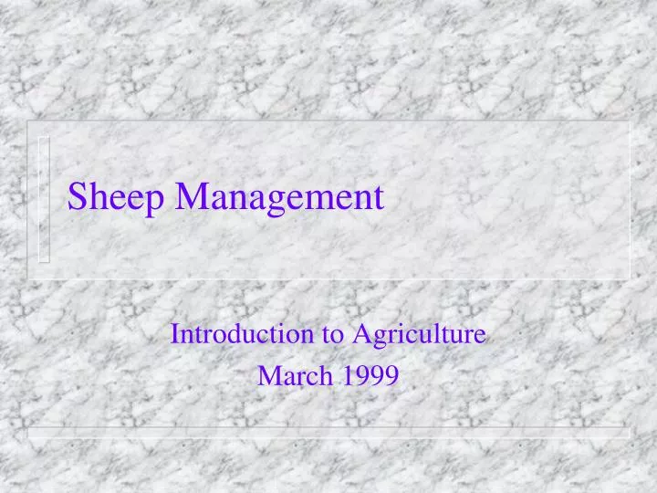 sheep management