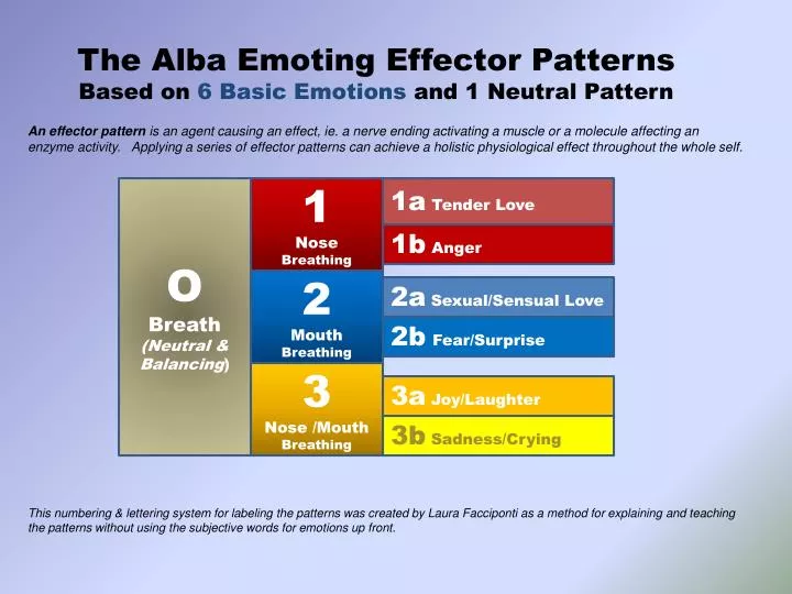the alba emoting effector patterns based on 6 basic emotions and 1 neutral pattern