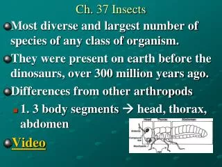 Ch. 37 Insects