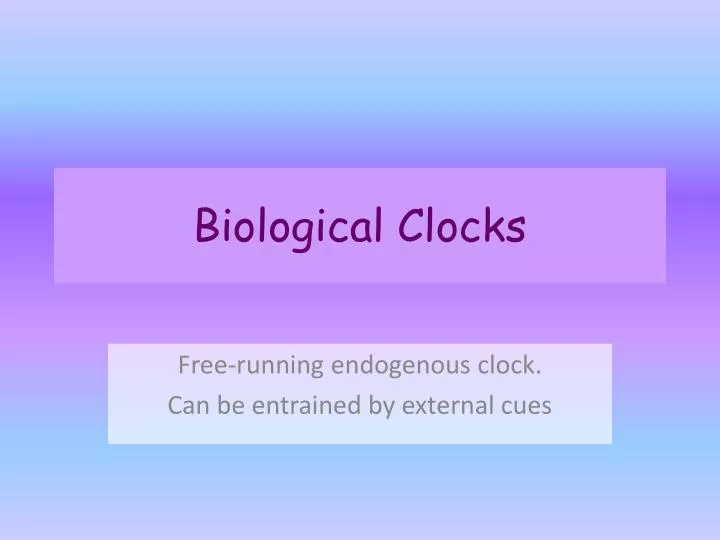 biological clocks