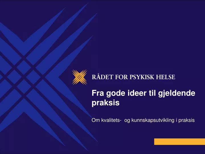 fra gode ideer til gjeldende praksis