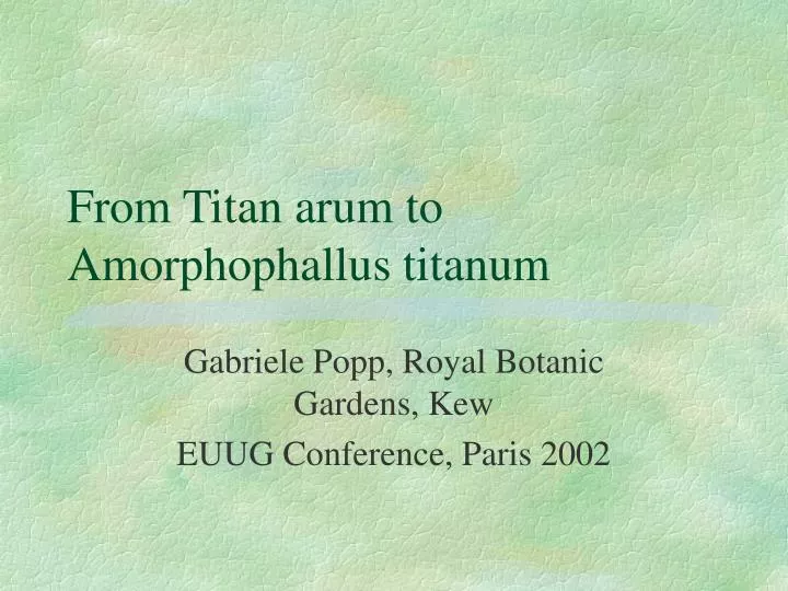 from titan arum to amorphophallus titanum