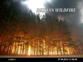RUSSIAN WILDFIRE