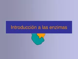 introducci n a las enzimas