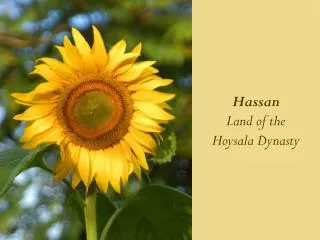 Hassan Land of the Hoysala Dynasty