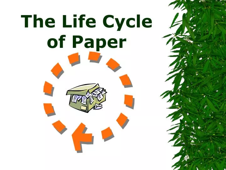 the life cycle of paper