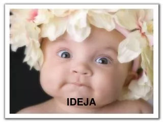 ideja