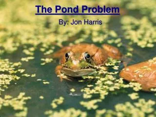 The Pond Problem