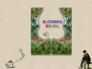 Blooming B o n s a i