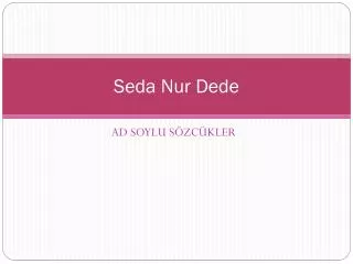 seda nur dede