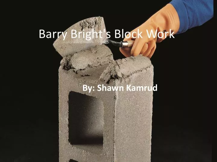 barry bright s block work