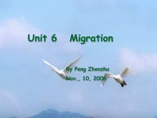 Unit 6 Migration By Peng Zhenzhu Nov., 10, 2008