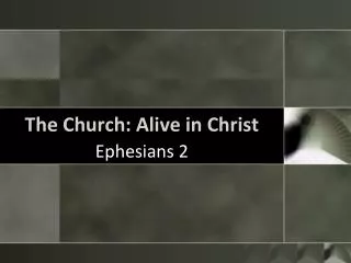 The Church: Alive in Christ