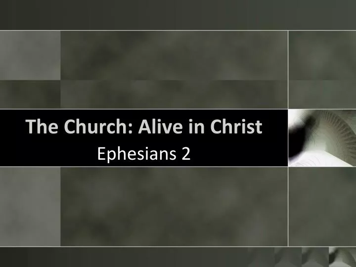 the church alive in christ