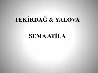 tek rda yalova