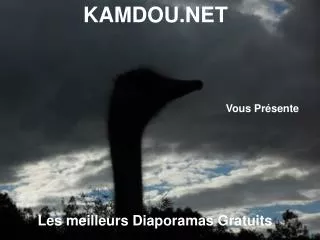 KAMDOU.NET