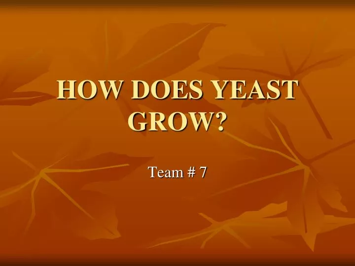 how does yeast grow