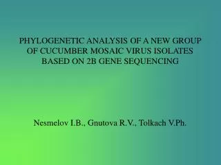 PHYLOGENETIC ANALYSIS OF A NEW GROUP OF CUCUMBER MOSAIC VIRUS ISOLATES BASED ON 2B GENE SEQUENCING
