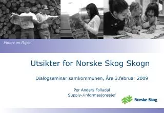 utsikter for norske skog skogn