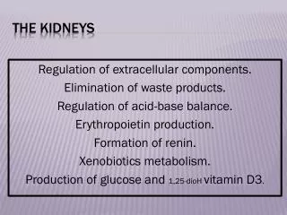 The Kidneys