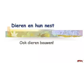 dieren en hun nest