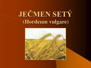je men set