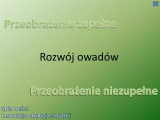 Rozwój owadów