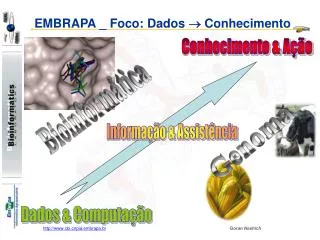 embrapa foco dados conhecimento