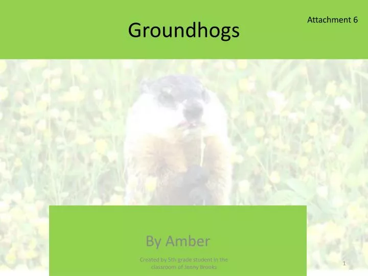 groundhogs