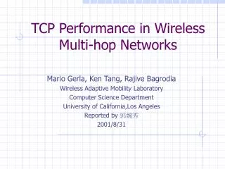 TCP Performance in Wireless Multi-hop Networks