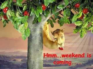 hmm weekend is coming
