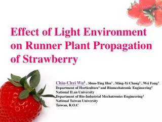 Effect of Light Environment on Runner Plant Propagation of Strawberry