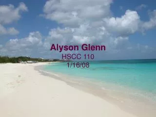 Alyson Glenn HSCC 110 1/16/08