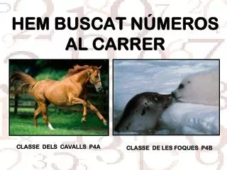 hem buscat n meros al carrer