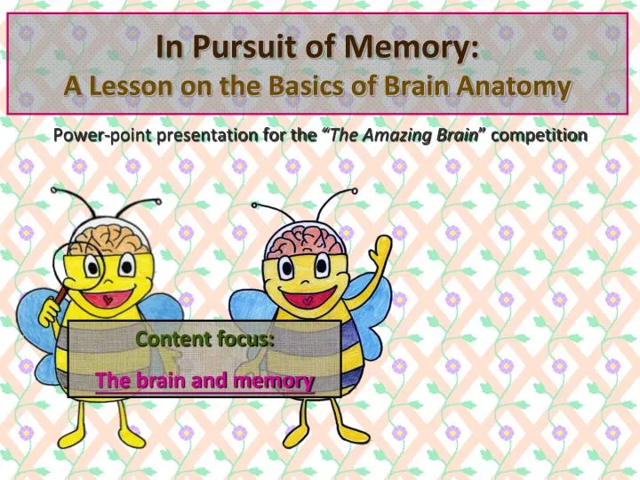 in pursuit of memory a lesson on the basics of brain anatomy