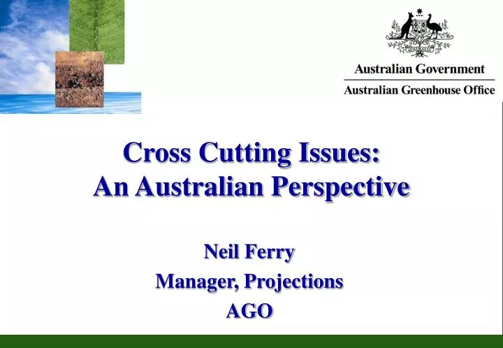 cross cutting issues an australian perspective