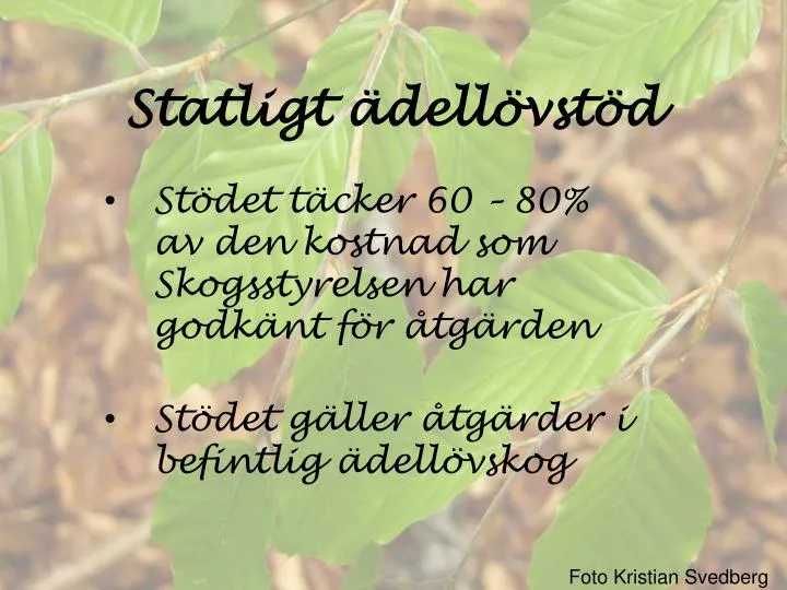 statligt dell vst d