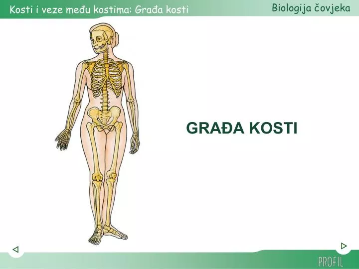 gra a kosti