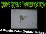 Exploring the Georges River Catchment: Plankton, Water Quality, and Aquatic Life - slide 1