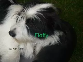 fl ffy