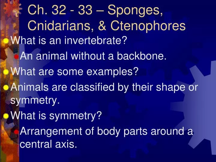 ch 32 33 sponges cnidarians ctenophores