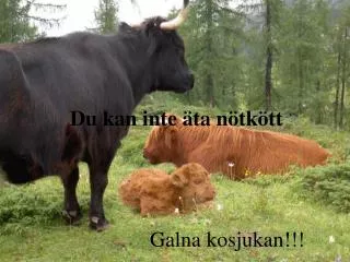 du kan inte ta n tk tt