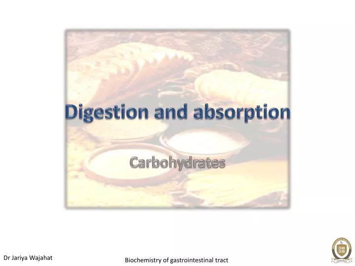 digestion and absorption