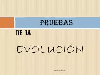 pruebas