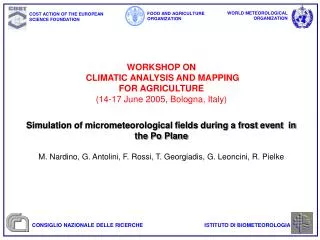 Simulation of micrometeorological fields during a frost event in the Po Plane