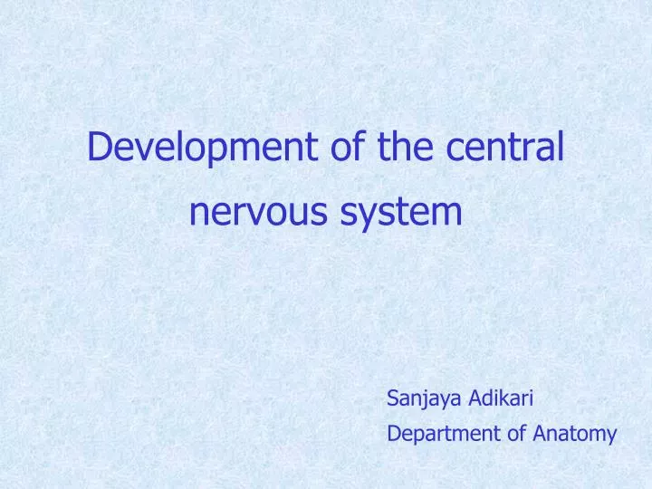 development of the central nervous system