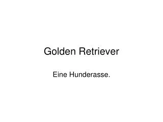 golden retriever