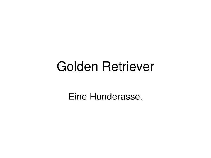 golden retriever