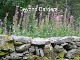 Beyond Barriers